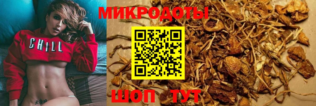 Кузнецк  Галлюциногенные грибы Magic Shrooms  Вход с VPN  Галлюциногенные грибы прущие грибы 