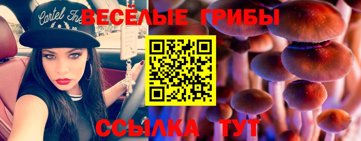 Галлюциногенные грибы прущие грибы Кузнецк